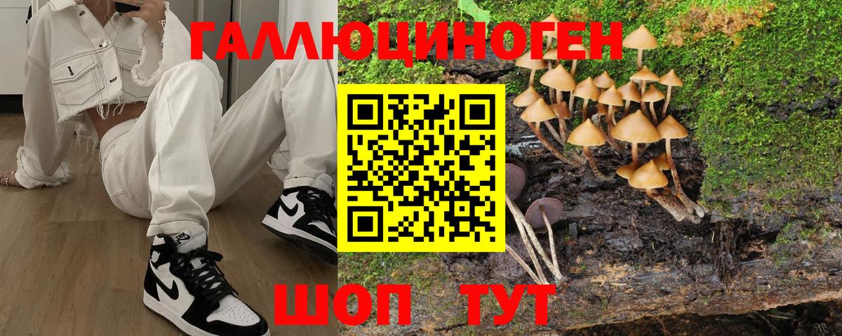 Галлюциногенные грибы Magic Shrooms Зерноград
