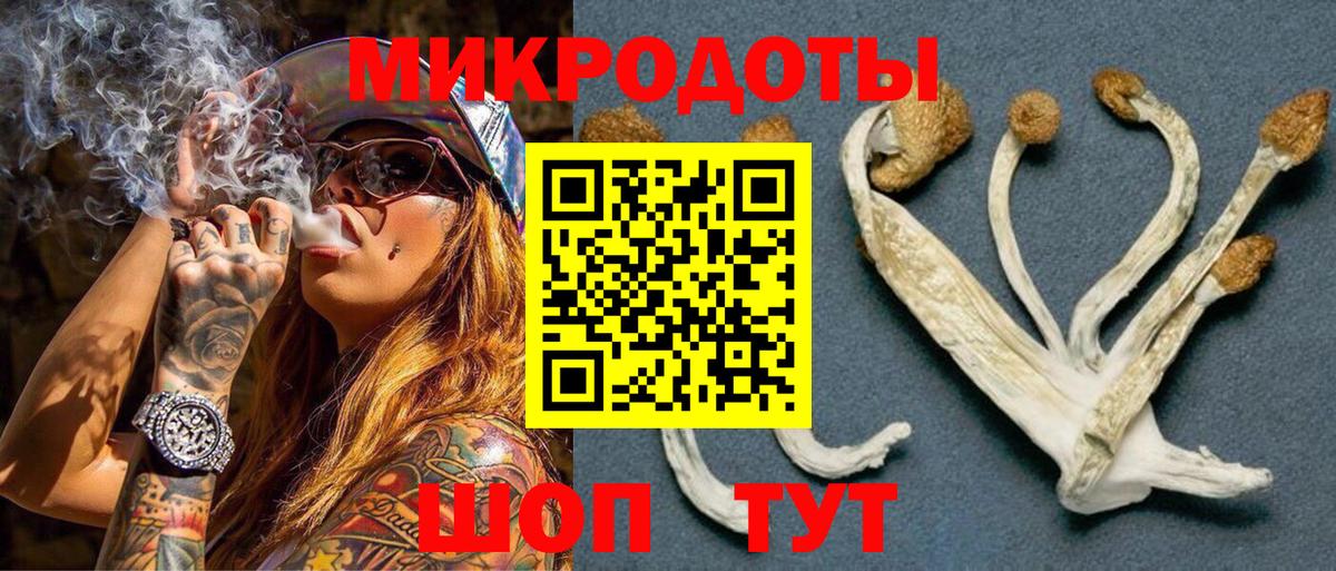 Псилоцибиновые грибы MAGIC MUSHROOMS  Вход с VPN  Псилоцибиновые грибы Psilocybine cubensis  Зерноград 